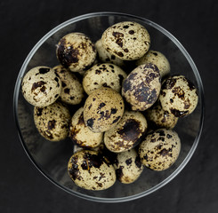 Fresh Quail Eggs as detailed close-up shot (selective focus)