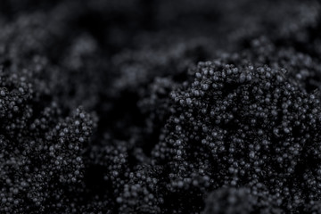 Some fresh Black Caviar (selective focus; close-up shot)