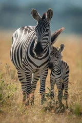Fotobehang Plains zebra staat tegenover camera met veulen © Nick Dale