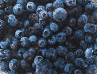 Pattern of blueberries in water. Fresh blueberries background with copy space. Vegan and vegetarian. Close up