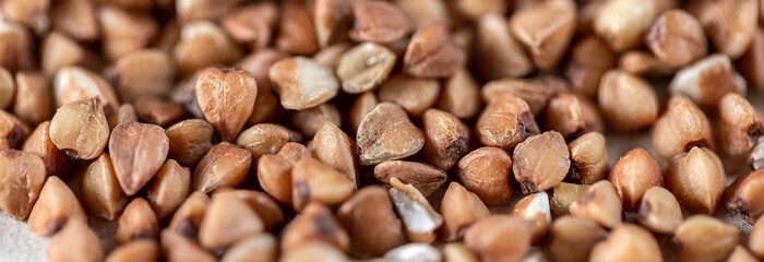 Essential goods: Buckwheat. Buckwheat seed pour in bunch closeup. Buckwheat cereal background, panoramic banner.
