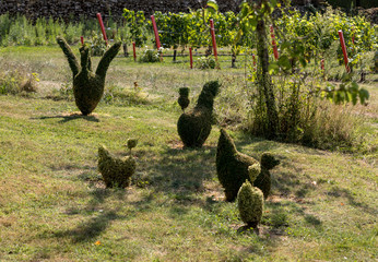 The picturesque Jardins du Manoir d Eyrignac in Dordogne. France