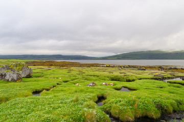 Amazing wild landscape in Mull Island, in the Inner Hebrides, Scotland.Here the land meets the ocean growing some unique wet vegetation and the wide spaces enhancing the feeling of moisture in the air
