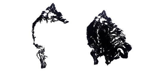 Obraz premium abstract ink black of stain or splash black watercolor paint and liquid Ink splash splatter is black line calligraphy of brush isolated on white background with clipping path