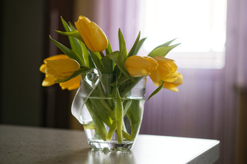 Fresh yellow tulips bouquet over wooden table. Isolated on white