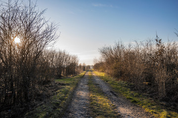 Langer Feldweg Wirtschaftsweg bei Sonnenuntergang