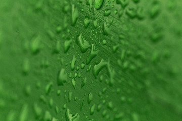 Nasses, lackiertes Holz