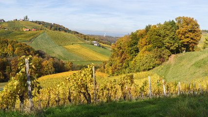 Obraz premium Südsteirische Weinlandschaft im Herbst