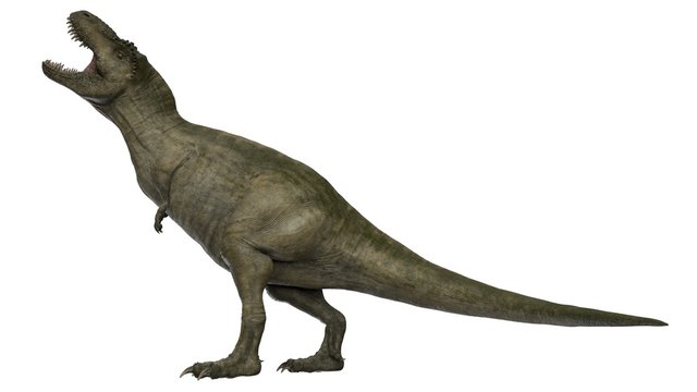 3d rendered t-rex tyrannosaurus rex