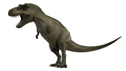 Obraz na płótnie Canvas 3d rendered t-rex tyrannosaurus rex