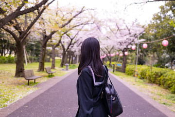 桜並木と女子学生