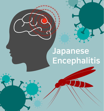 Japanese encephalitis with mosquito and human brain