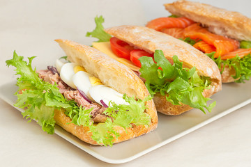 Sandwiches with various fillings on a flat white plate. Closeup on a light background