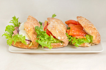 Sandwiches with various fillings on a flat white plate. Closeup on a light background