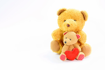 Two teddy bears on a white background