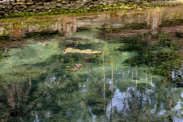 Pure holy water located in Tirta Empul in Bali