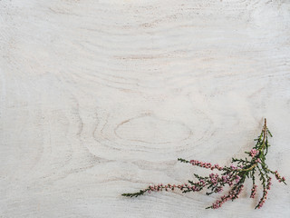 Beautiful, bright wildflowers lying on a white, wooden table. View from above, close-up