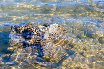 Un rocher dans l'eau