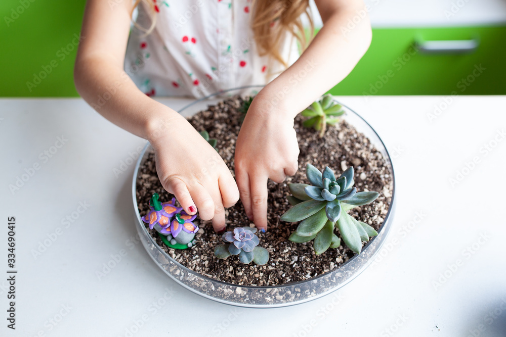 Wall mural Beautiful girl plants succulents in a glass florarium at a lesson in a creativity studio