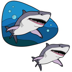 Open mouth shark with many teeth on a background of blue sea water