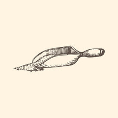 The illustration of a wooden scoop with grains in vector. Drawn miller utensil in the style of engraving.