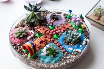 Florarium with succulents in a glass vase, a beautiful home decoration