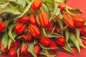 Red tulips. Bouquet of fresh bright red tulips. Beautiful card with spring flowers.