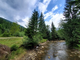 Fototapeta na wymiar A beautiful photo of a river in the woods in Carpathian mountains, Ukraine.