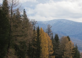 mountains in autumn
