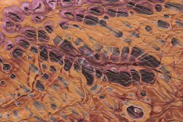 Acrylic multi-colored texture closeup. Macro shot of acrylic abstraction.