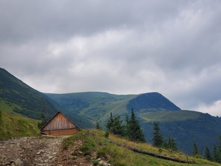 A beautiful scenery of Carpathian mountains with small houses, trees, fields, and roads in the summertime.