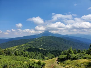 Foto op Canvas A beautiful scenery of Carpathian mountains with small houses, trees, fields, and roads in the summertime. © Anite