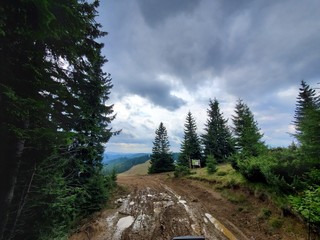 Muddy road in Carpathian mountains after the rain. Cloudy day, summertime.