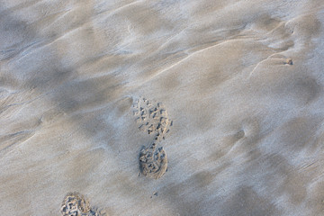 The texture of sea sand closeup.