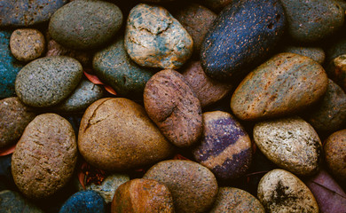 abstract background with dry round reeble stones