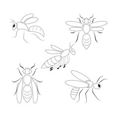 Icon set of 5 wasps.Vector illustration.