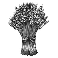 Illustration of sheaf of a wheat in engraving style. Design element for emblem, sign, poster, card, banner, flyer.