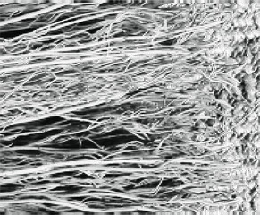 Natural linen material textile canvas texture background