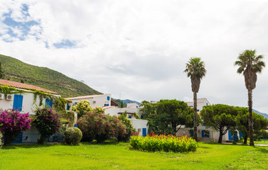 Fototapeta premium Beautiful landscapes of Montenegro. Tropical trees combined with old and modern architecture. Travel by Budva and Kotorsk.