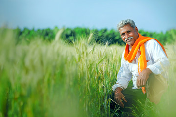 Naklejka na ściany i meble indian farmer at wheat field with his child