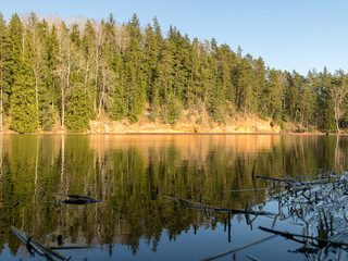 water reflections of trees, early spring landscape, with reflection on mirror water