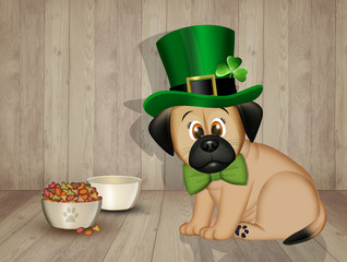 illustration of dog with costume of Saint Patrick