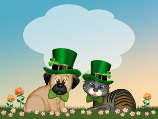 dog and cat celebrate St. Patrick's day