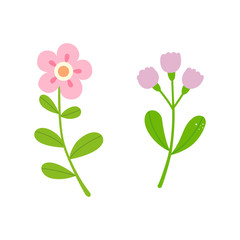 Cute flowers isolated on white background