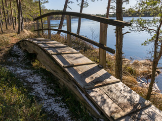 landscape with wooden bridge in the bog, early spring