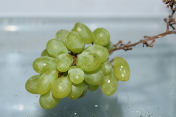 Green grape isolated on white plate.