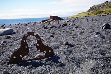 Schiffswrack auf Island