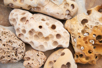 Stones from the sea and river. The surface of the stones with different holes.