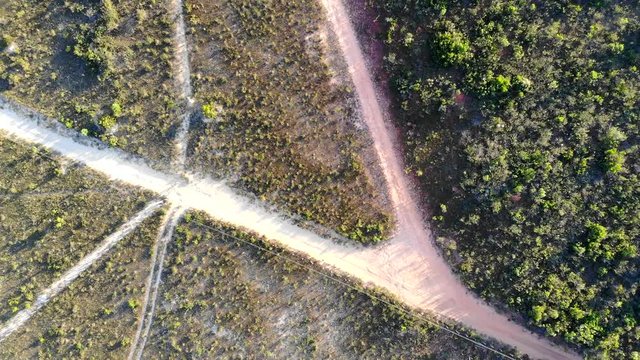 Road junction surrounded by brazilian caatinga vegetation, at sertao. Chapada Diamantina, Bahia, Brazil. Aerial shot. Drone moving down