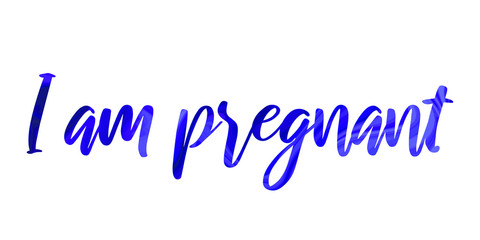 I am pregnant Colorful isolated vector saying